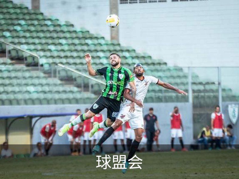 关于球盟会